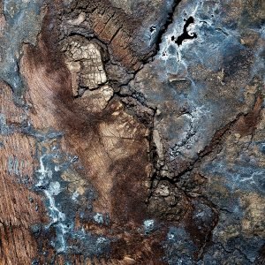 Close-up photograph of old railroad thresholds with tar oil, resembling a side profile of an old man in the wooden surface. Head image of Rustic Reverie.