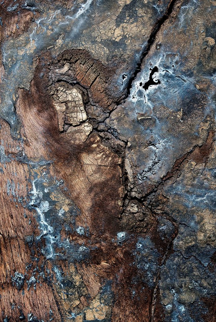 Close-up photograph of old railroad thresholds with tar oil, resembling a side profile of an old man in the wooden surface. Bear witness to the passage of time, embodying deep complexity and hidden wisdom, shaped and weathered by the ages.