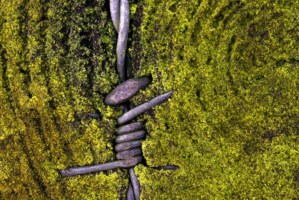 "ON THE JUMP" - Macro photograph of green lush moss and metal wire resembling a small human figure jumping.
