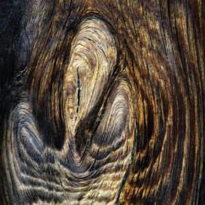 Interlayered Complex - Topography of the soul in wood grain and rhythmic imperfection, Mannheim, Germany, 2021