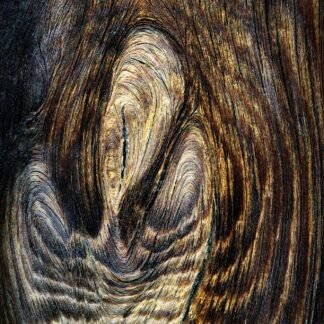 Interlayered Complex - Topography of the soul in wood grain and rhythmic imperfection, Mannheim, Germany, 2021