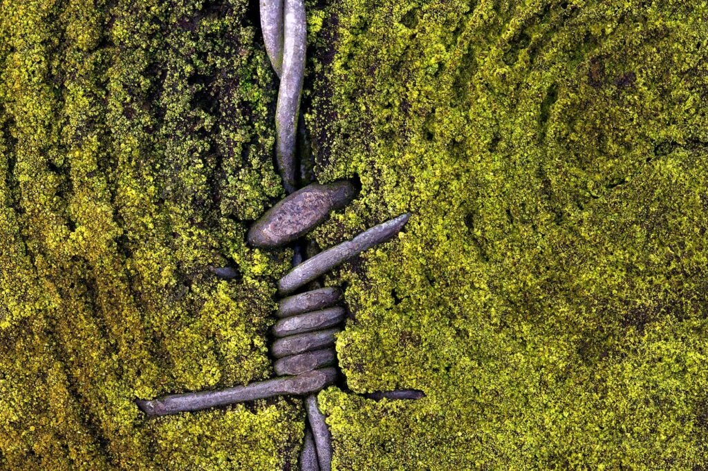 We reduce ourselves to the essentials. When was the last time we were free? A wondrous movement in the secret garden - pirouette, jumping, weightlessness. Photographed 2020, Olpe, Germany | Published 2020