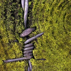 We reduce ourselves to the essentials. When was the last time we were free? A wondrous movement in the secret garden - pirouette, jumping, weightlessness. Photographed 2020, Olpe, Germany | Published 2020