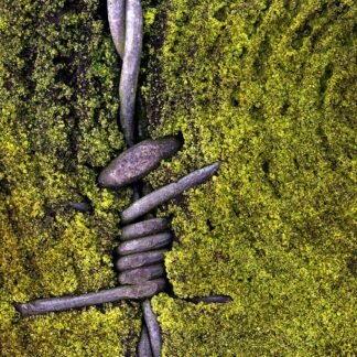 We reduce ourselves to the essentials. When was the last time we were free? A wondrous movement in the secret garden - pirouette, jumping, weightlessness. Photographed 2020, Olpe, Germany | Published 2020