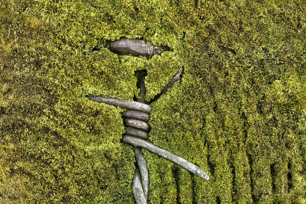 Secret Garden Mini-Series - Dance photography in nature featuring pirouette and jumping movements, Olpe, Germany, 2020