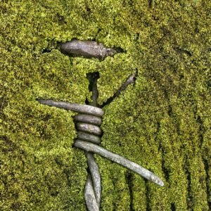 Secret Garden Mini-Series - Dance photography in nature featuring pirouette and jumping movements, Olpe, Germany, 2020