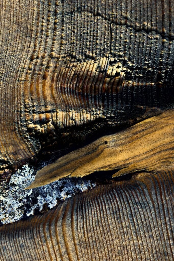 Segments Of Profundity - Grain unfolding like staircase into unknown realm, Fribourg, Switzerland, 2021